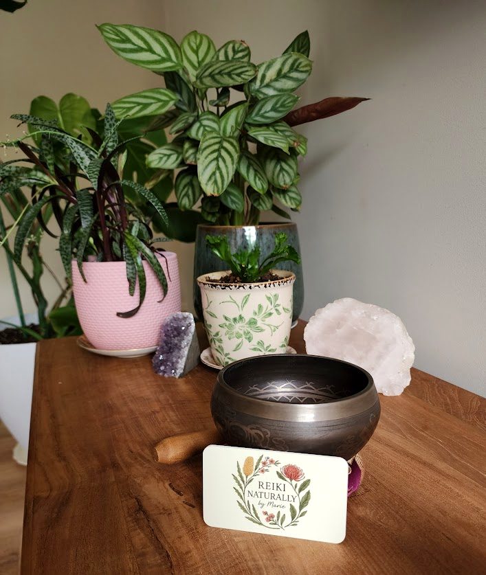 Singing bowl, crystals and plants in Marie's healing space